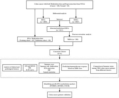 Identification of colon cancer subtypes based on multi-omics data—construction of methylation markers for immunotherapy